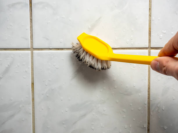 Mold Removal and Inspection in Stoughton, WI