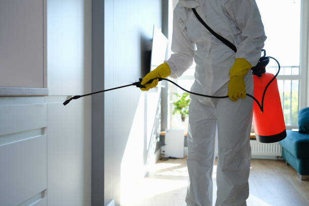 Best Professional Mold Removal  in Stoughton, WI