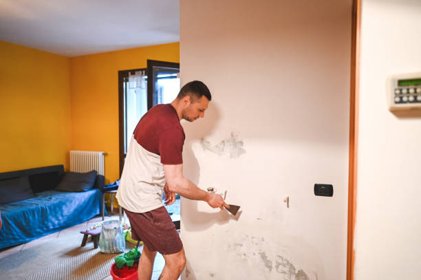 Best Emergency Mold Removal  in Stoughton, WI