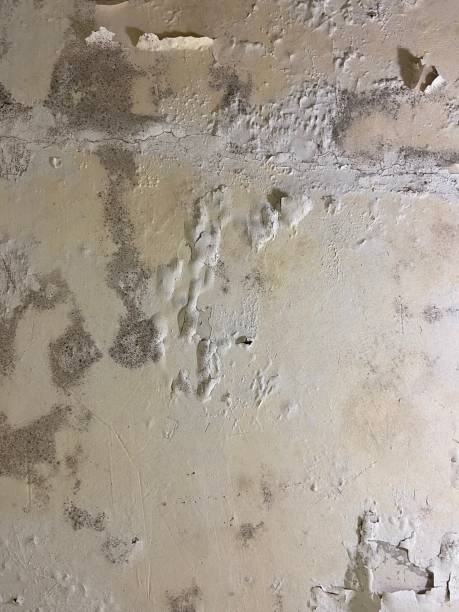Water Damage Restoration in Stoughton, WI